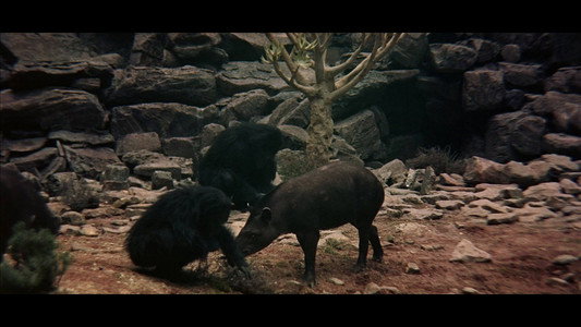 2001: A Space Odyssey