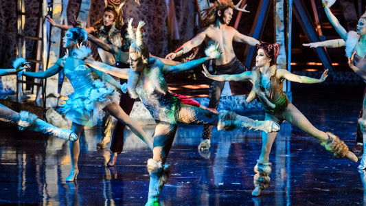 One Night for One Drop: Imagined by Cirque du Soleil