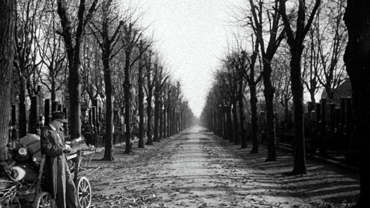 The Third Man