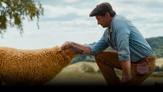 The Sheep Detectives
