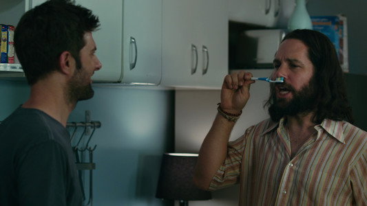 Our Idiot Brother
