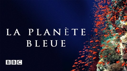 Deep Blue