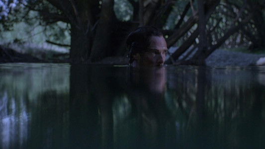 The Power of the Dog