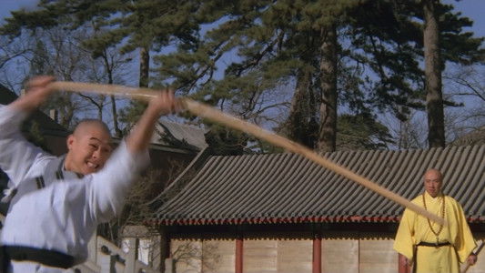 Martial Arts of Shaolin