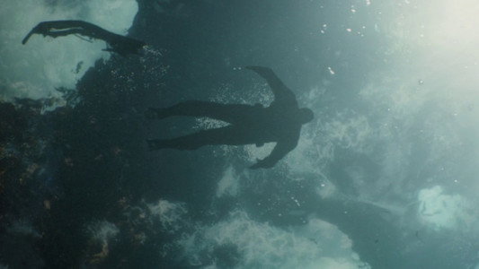 Captain America: The Winter Soldier