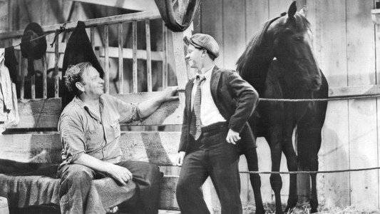Stablemates