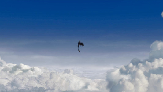 How to Train Your Dragon