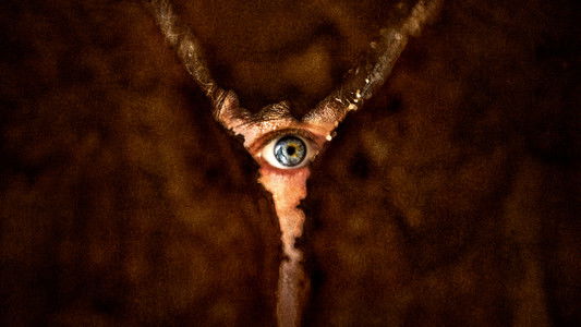 Return to Silent Hill