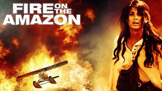 Fire on the Amazon