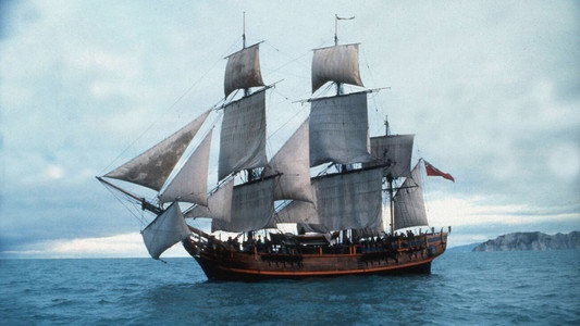 The Bounty