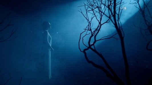 Birdman or (The Unexpected Virtue of Ignorance)