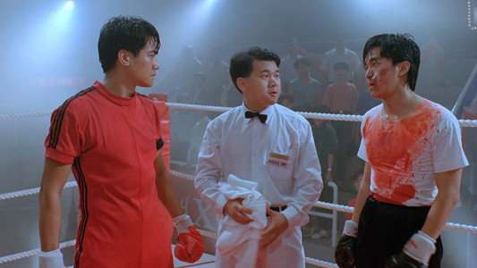 Fist of Fury 1991