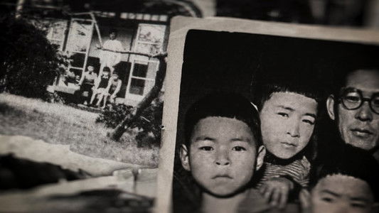 Miyazaki, Spirit of Nature