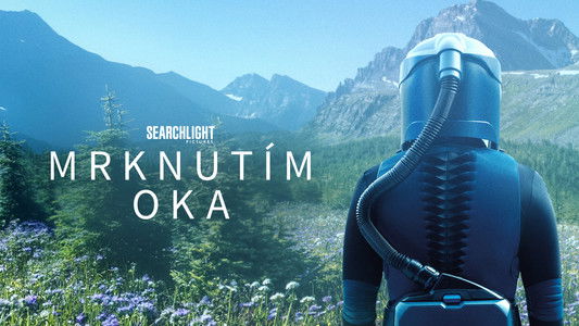 In the Blink of an Eye