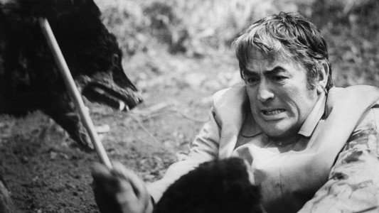 The Omen