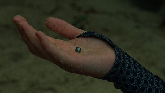 The Hunger Games: Catching Fire