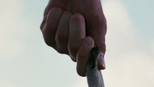 Ace Ventura: When Nature Calls