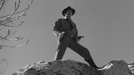 The Gunfighter