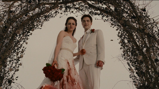 The Twilight Saga: Breaking Dawn - Part 1