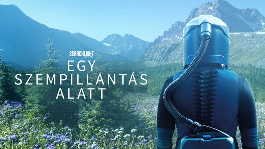 In the Blink of an Eye