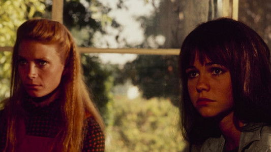 Maybe I'll Come Home in the Spring