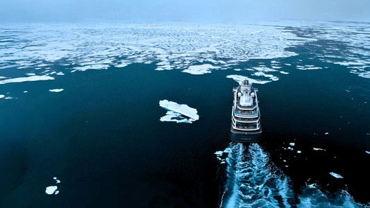 Chuck Norris: Private Lesson