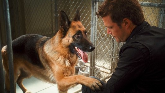 Cats & Dogs: The Revenge of Kitty Galore