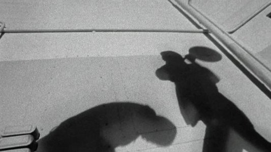 Natural Born Killers