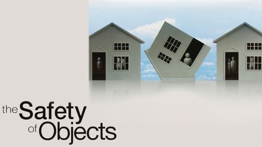 The Safety of Objects