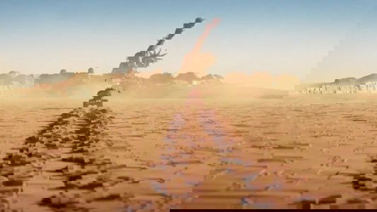 The Lego Movie 2: The Second Part