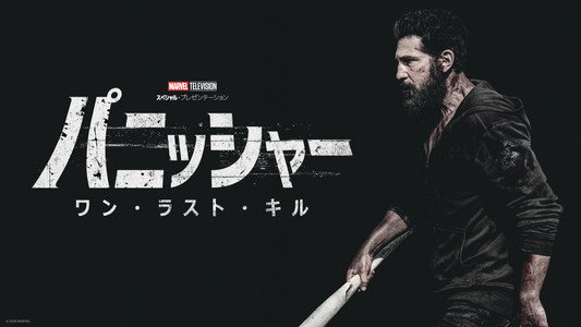 The Punisher: One Last Kill