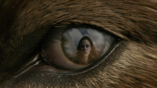 The Twilight Saga: New Moon