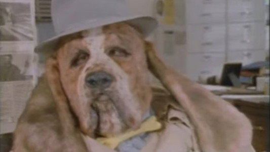 The Dog Police