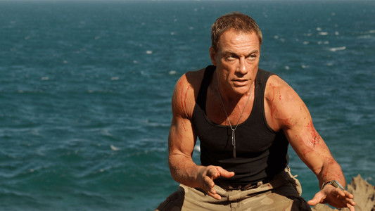 Welcome to the Jungle