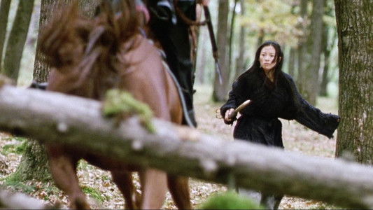 House of Flying Daggers