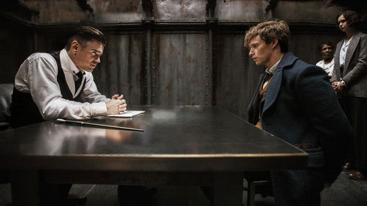 Fantastic Beasts and Where to Find Them
