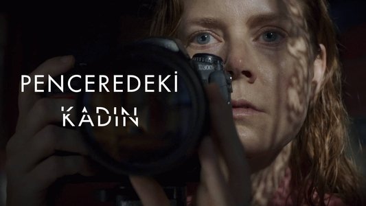 The Woman in the Window