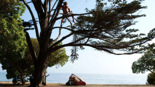 Surfer, Dude
