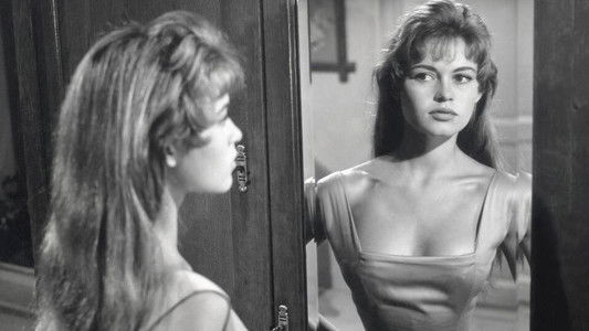 The Light Across the Street