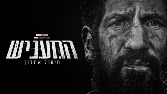 The Punisher: One Last Kill