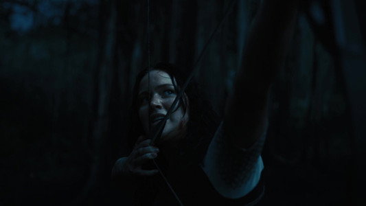 The Hunger Games: Catching Fire