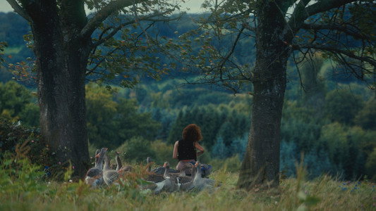 The Hunger Games: Sunrise on the Reaping