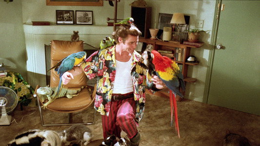 Ace Ventura: Pet Detective