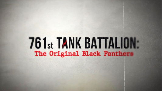 761st Tank Battalion: The Original Black Panthers