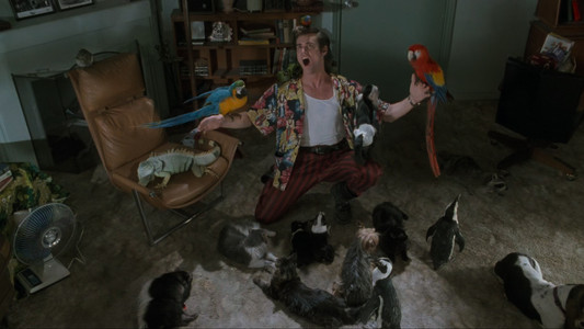 Ace Ventura: Pet Detective