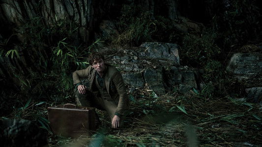 Fantastic Beasts: The Secrets of Dumbledore