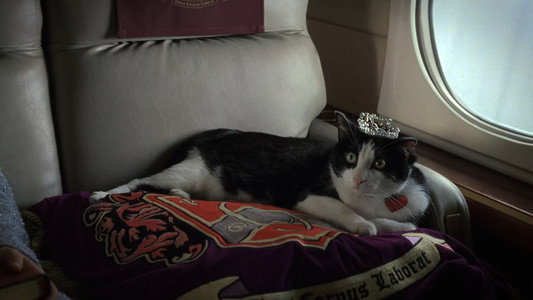 The Princess Diaries