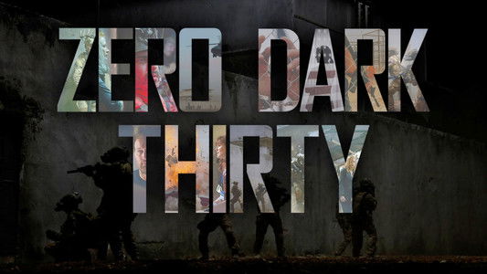 Zero Dark Thirty