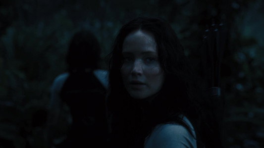 The Hunger Games: Catching Fire