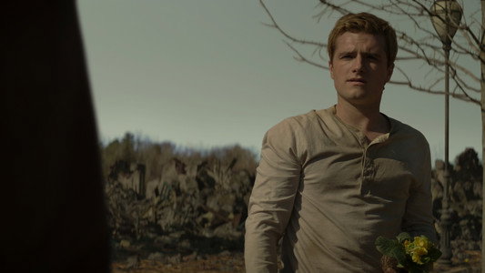 The Hunger Games: Mockingjay - Part 2